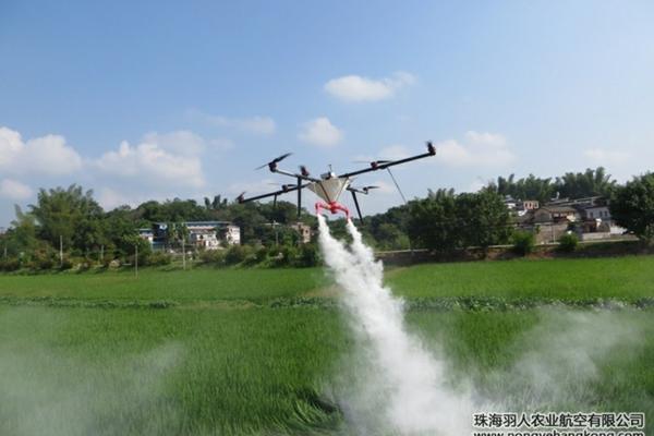 关于除草剂使用芸苔素:探讨与实践。能否在打除草剂的同时添加芸