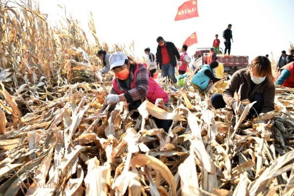 花生除草剂打了45天了还能用吗 花生除草剂过期的还能用吗?