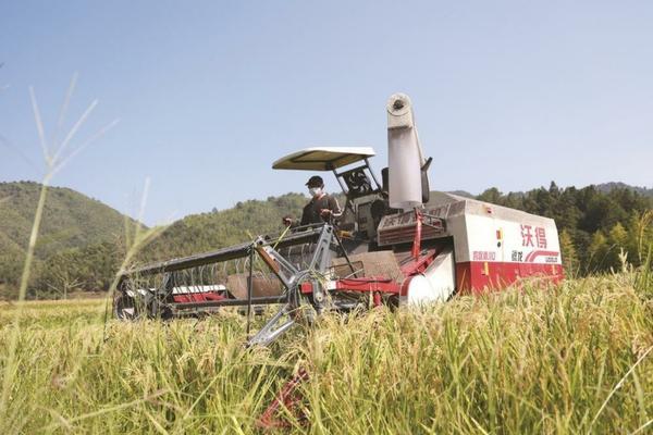 28高芸苔素使用方法 28高芸苔素国家标准？