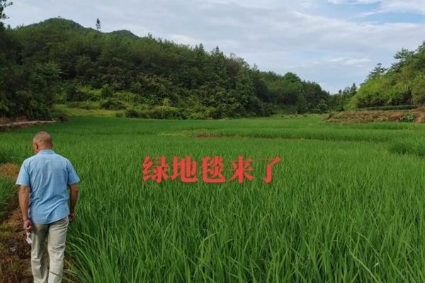 【深度解析】二氯苯醚菊酯吡虫啉滴剂的安全性评估