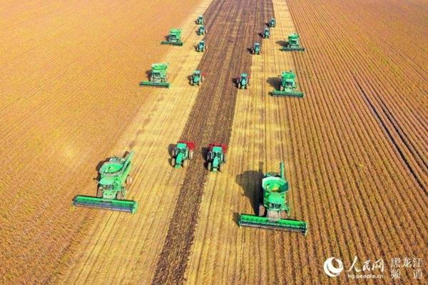 青菜虫用什么药杀死 青菜生虫喷什么药水好?
