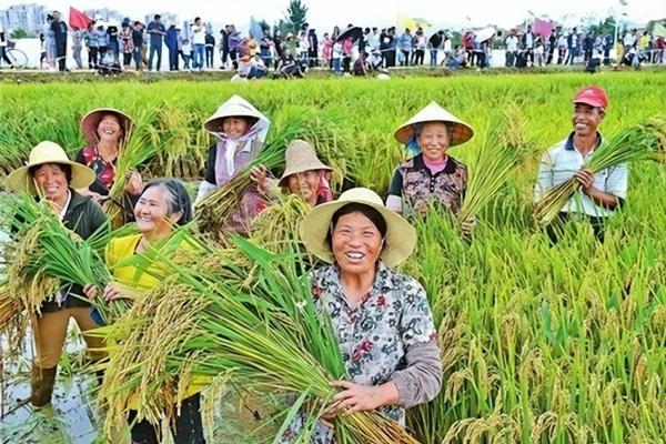 草甘膦残留检测 草甘膦残留标准