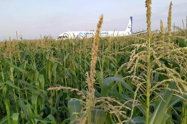 除草剂兑水总超量？15公斤水配草甘膦省30%成本还能避坑