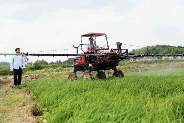 高效液相色谱法测定有机磷农药原理 农残检测原理和应用?