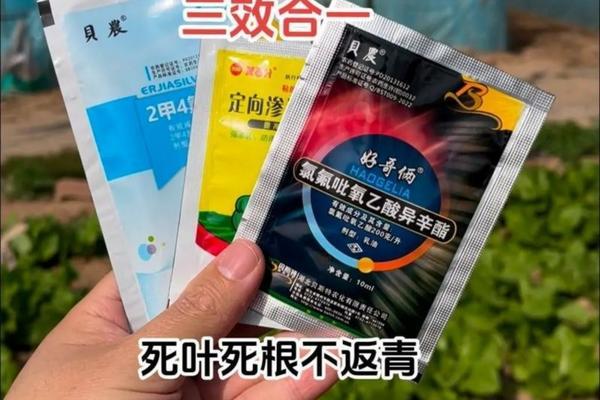 火山石养花优缺点 养花火山岩用几毫米?