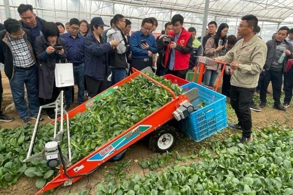 辣椒油怎么做才能又辣又香 辣椒油怎么做才能又辣又香?
