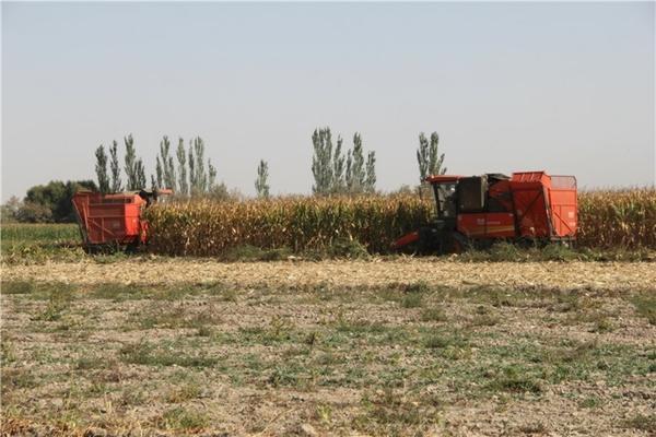 多肉烂根用多菌灵浸泡多久 多肉要用多菌灵泡多久