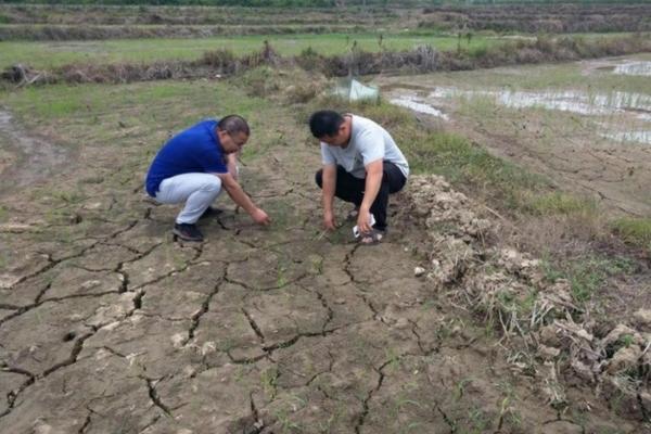 优质杀螨剂品牌推荐:打造无螨环境,守护您的健康生活