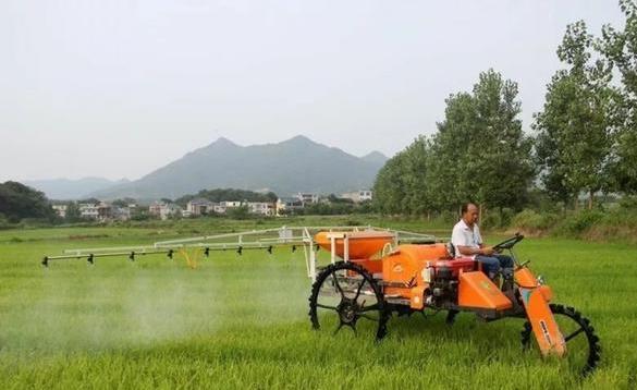 先正达小麦拌种剂生产厂家地址详细解析