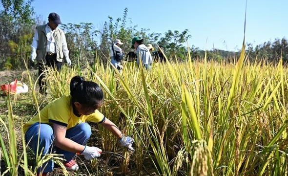 冬季果树施肥指南:选择最佳肥料助力果树健康生长