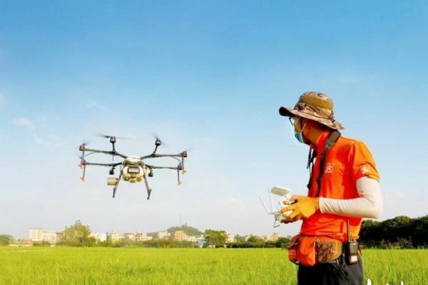 防止番茄果顶腐烂可喷施什么 夏天番茄怎么储存过冬？