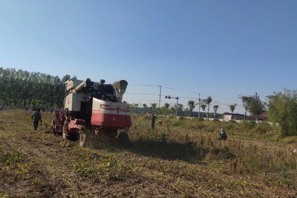 芹菜地下害虫用什么药 芹菜上的蚜虫用什么土办法能治