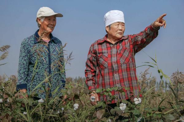 大蒜的种植方法 种植大蒜需要注意什么