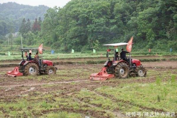 顶级荔枝品种 仙进奉荔枝品种等级排名?