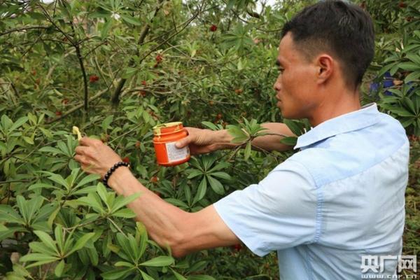 灭草剂价格多少一瓶 三月十二号给田地里打灭草剂可以吗?
