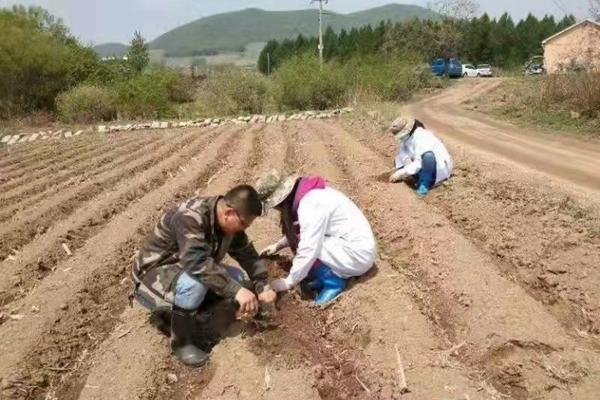 四种常见的增稠剂有哪些 增稠剂有哪些?