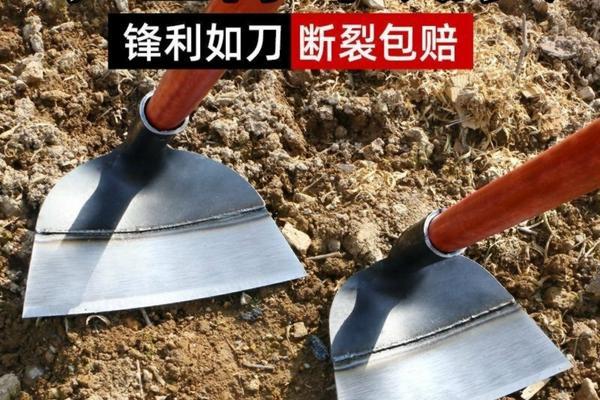 收稻谷的时候打除草剂 什么农药能打死谷子?