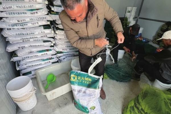 兰花使用多菌灵浸泡时间详解