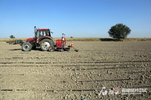 先正达小麦品种介绍 爱苗是什么农药?