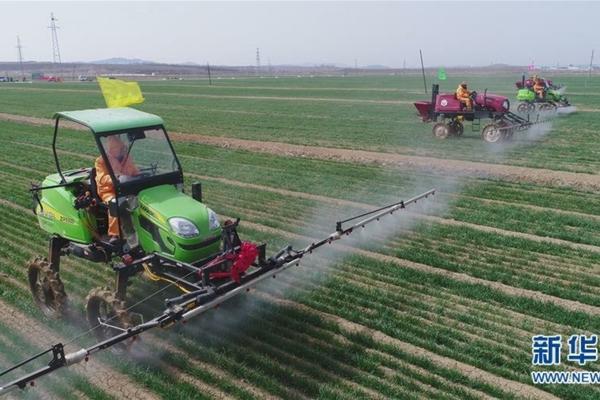 油菜田苗后专用除草剂有哪些 油菜田打几次草药为好么时间除草最好?