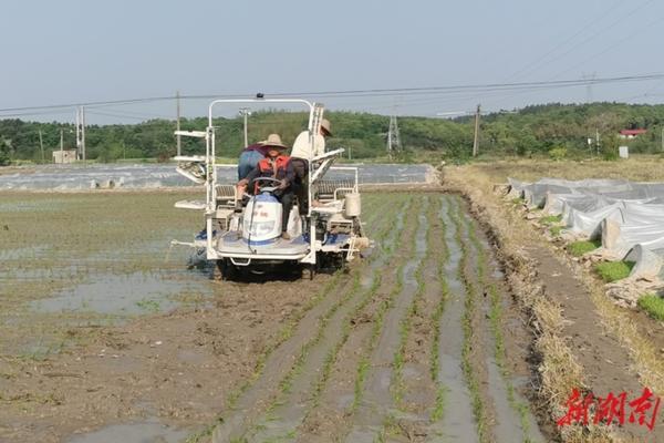 巨大苹果能吃吗 苹果手机拍摄的较大的视频无法拷出，请问如何解决？