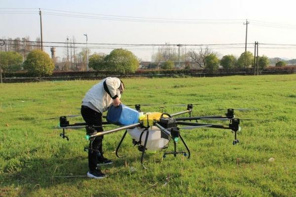 大蒜黄叶烂根怎么办?3款杀菌剂省2万药费避坑指南