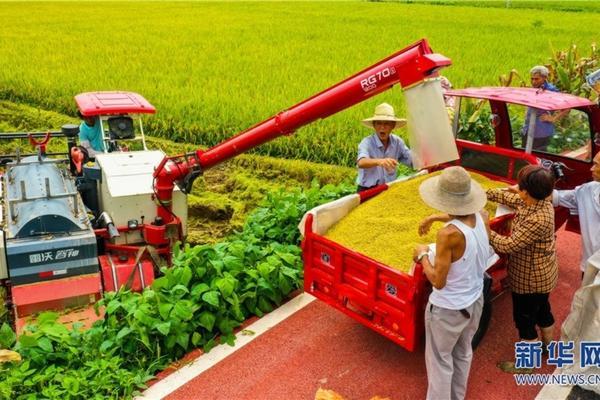 云实的功效与作用:深入了解中药云实的多重价值