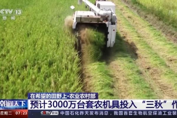 果树上石硫合剂什么时候打 核桃树石硫合剂什么时间用合适的?