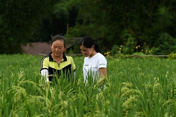 生根粉和多菌灵能不能混合使用 生根粉可以与多菌灵混用吗