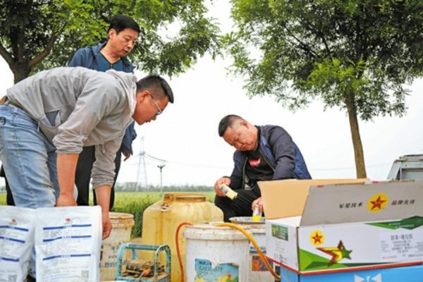 全面解析先正达拌种剂系列:高效、安全、智能的农业种植新选择