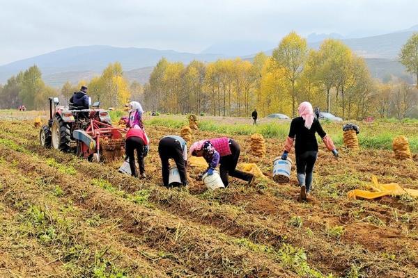 甲氨基阿维菌素苯甲酸盐加标回收率怎么样 甲维盐可以和有机磷农药混用吗？