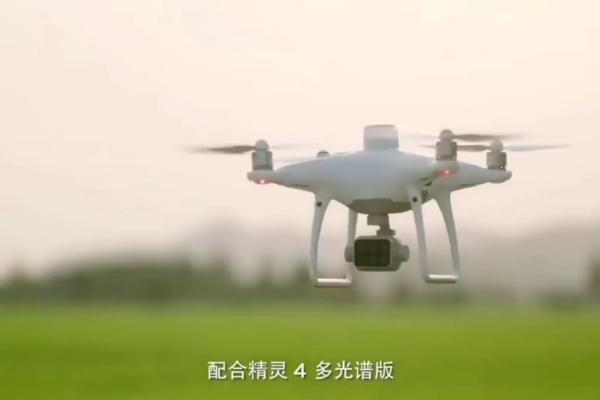 麦地打除草剂过几天能浇水吗 小麦打完野麦子后几天可以浇水?