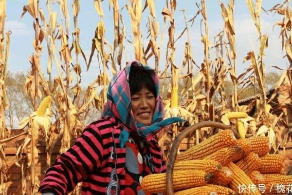 微生物菌剂能与硫酸钾复合肥混用吗 过硫酸氢钾复合物粉能去除氨