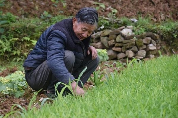 白色的苹果叫什么水果 白点苹果是什么?