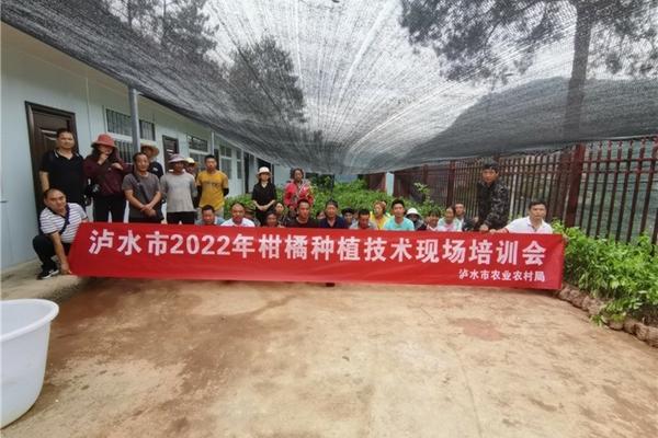关于半夏除草剂选用的乙草胺种类及其使用指南
