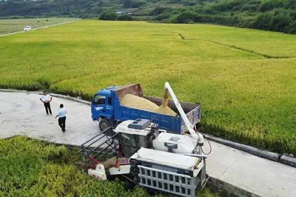 红提产地及其种植技术详解