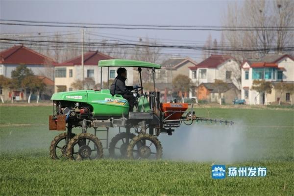 红蜘蛛虫害防治 红蜘蛛怎么防治?用什么药最有效？