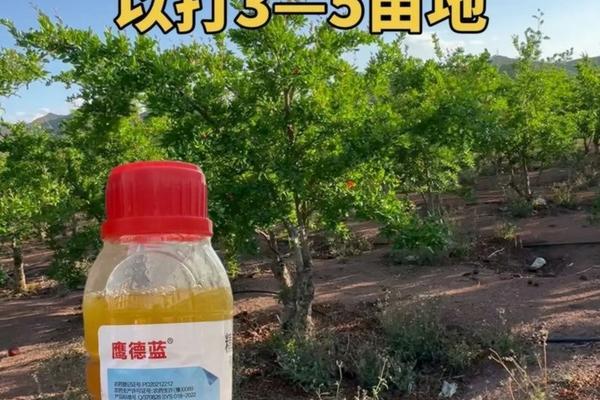 吡虫啉乳油配方及其制备工艺研究
