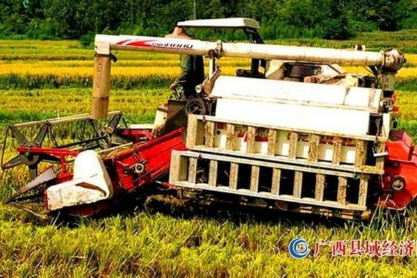 扑草净都有什么作用 扑草净打了几天见效果?