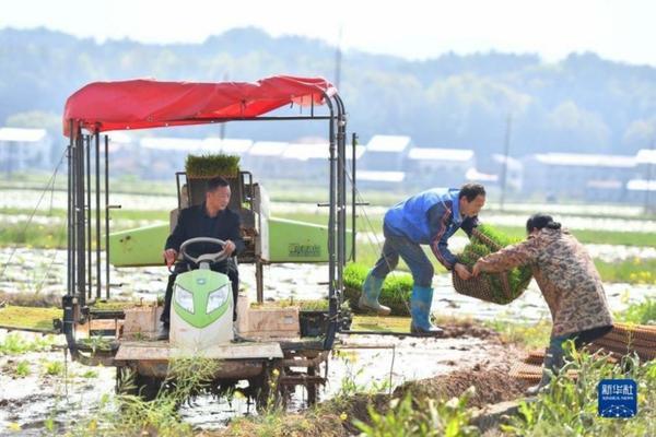 最难根除的杂草 野艾用什么除草药可根除?