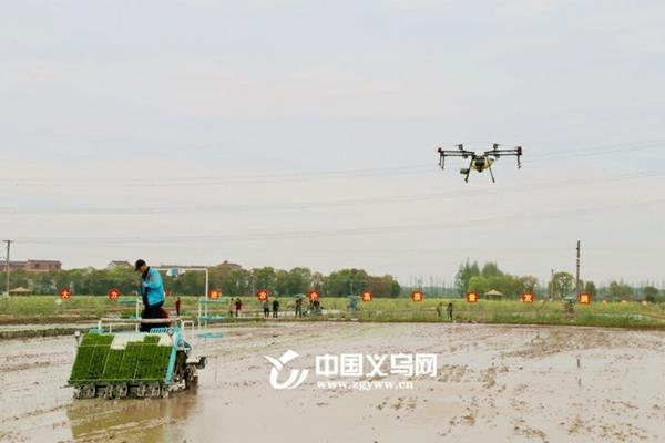 大棚种植技术:提高作物产量与品质的现代农业实践