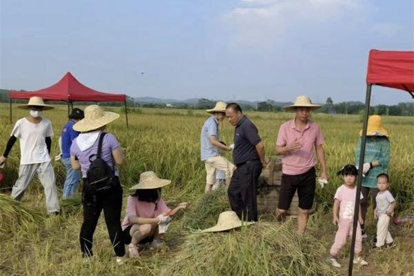 除草剂快锄对五角枫树苗有影响吗 五角枫地打除草剂对树有影响吗?