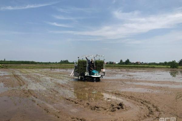 百草枯幸存者自述 百草枯敌敌畏哪个厉害