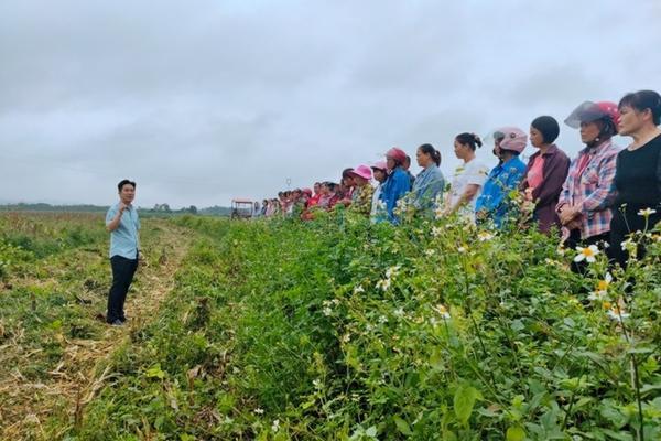 大树移栽怎样挂营养液 树吊水用什么营养液,什么成份?