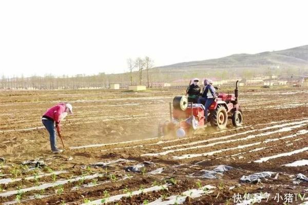 兰花用多菌灵泡根后马上种植 多菌灵的作用和用途正确使用方法