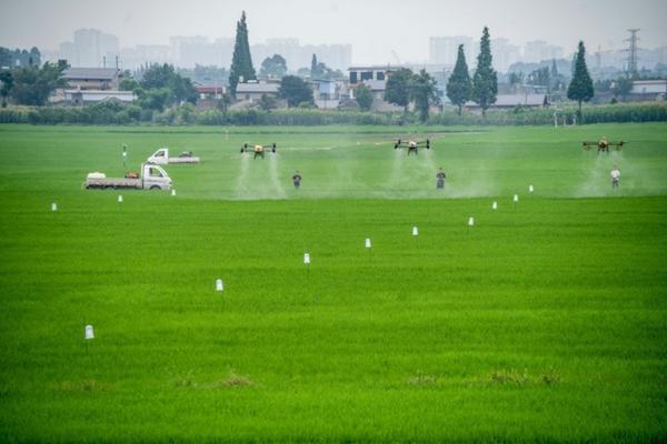 多肉能用紫外线灯照射吗 多肉可以用紫外线灯补光吗?