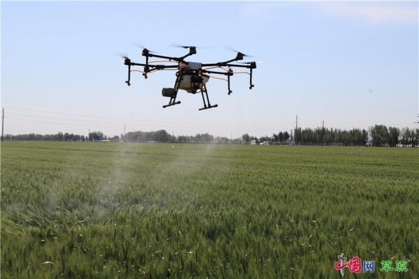 大花蕙兰土质用多菌灵可以吗 大水兰怎么养?