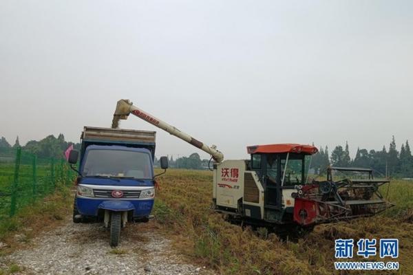多菌灵品牌推荐:优质多菌灵选择指南