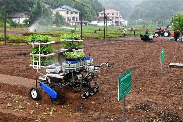 田里杂草生长快用什么除草剂 三棱草特效除草剂?