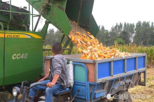 一喷绿能喷蔬菜吗 一喷就绿可以喷什么蔬菜?